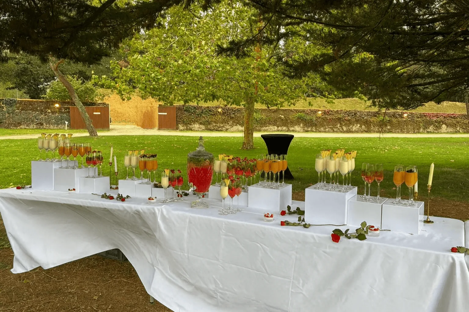 Le Domaine Nantais — cocktail sur la terrasse